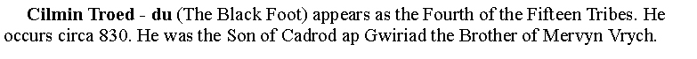 Text Box:      Cilmin Troed - du (The Black Foot) appears as the Fourth of the Fifteen Tribes. He occurs circa 830. He was the Son of Cadrod ap Gwiriad the Brother of Mervyn Vrych.